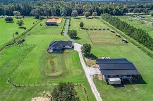 9209 W Hwy 316, Reddick, FL 32686 - Photo 72