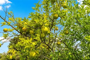 3805 SE 139th St, Summerfield, FL 34491 - Photo 28