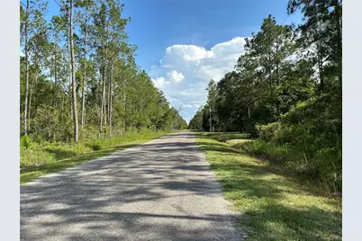 0 Crotty Avenue #1, Hastings, FL 32145 - Photo 6