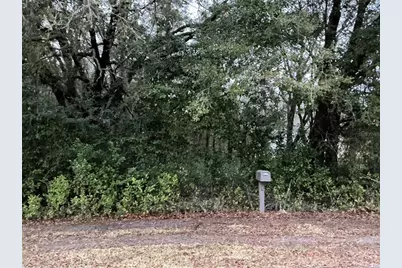 0 SE 143rd Place, Summerfield, FL 34491 - Photo 1