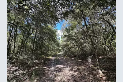 Tbd NE 138th Avenue, Williston, FL 32696 - Photo 10