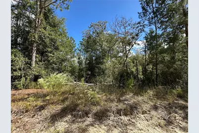 Tbd NE 138th Avenue, Williston, FL 32696 - Photo 6