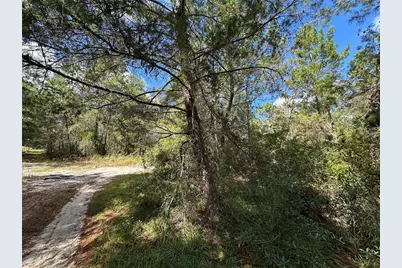 Tbd NE 138th Avenue, Williston, FL 32696 - Photo 8