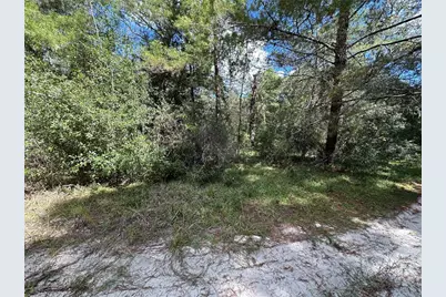 Tbd NE 138th Avenue, Williston, FL 32696 - Photo 8