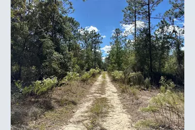 Tbd NE 138th Avenue, Williston, FL 32696 - Photo 2