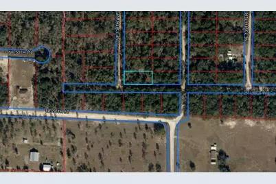 Tbd NE 138th Avenue, Williston, FL 32696 - Photo 4