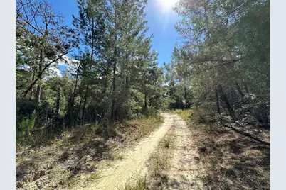 Tbd NE 138th Avenue, Williston, FL 32696 - Photo 2