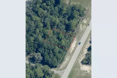 9506 N Elkcam Boulevard, Citrus Springs, FL 34433 - Photo 4