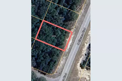 9506 N Elkcam Boulevard, Citrus Springs, FL 34433 - Photo 2