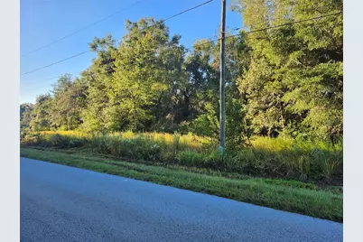 Tbd Williow Road, Ocala, FL 34472 - Photo 6