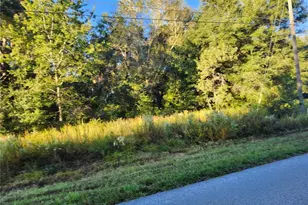 Tbd Williow Rd, Ocala, FL 34472 - Photo 1