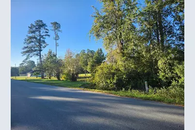 Tbd Redwood Track Course, Ocala, FL 34472 - Photo 6