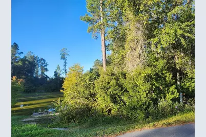 Tbd Redwood Track Course, Ocala, FL 34472 - Photo 1