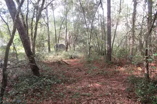 NE 171st Ct, Silver Springs, FL 34488 - Photo 1