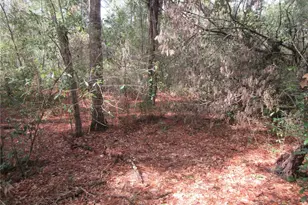 NE 171st Ct, Silver Springs, FL 34488 - Photo 1