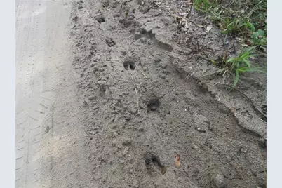 Ne 171st Court, Silver Springs, FL 34488 - Photo 16