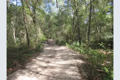 Ne 171st Court, Silver Springs, FL 34488 - Photo 20