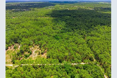 Lot 02 SW 175th Terrace, Dunnellon, FL 34432 - Photo 6