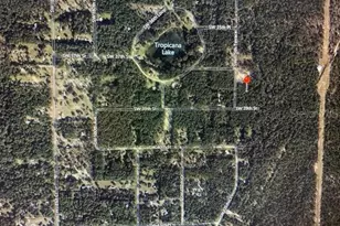 Tbd Lake Tropicana Ranchettes 1st Add, Dunnellon, FL 34432 - Photo 1