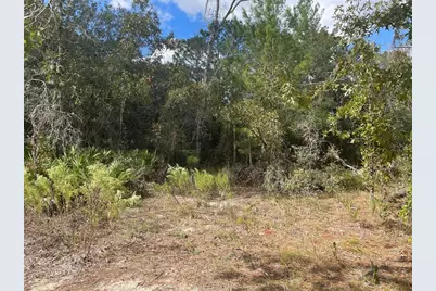 5611 W Rochelle Street, Homosassa, FL 34448 - Photo 2