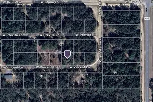 8141 W Vincent Ln, Crystal River, FL 34428 - Photo 1