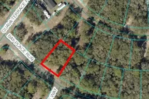 00 Bay Pl Way, Ocklawaha, FL 32179 - Photo 1