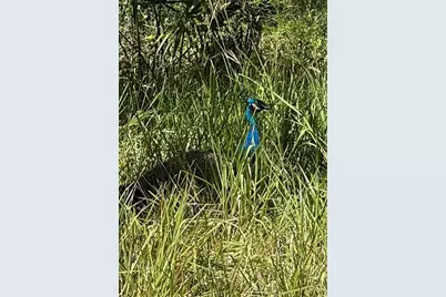 14312 W Sutton Court, Crystal River, FL 34429 - Photo 18