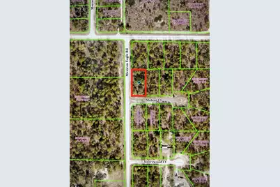 16322 Mexican Eagle Road, Brooksville, FL 34614 - Photo 2