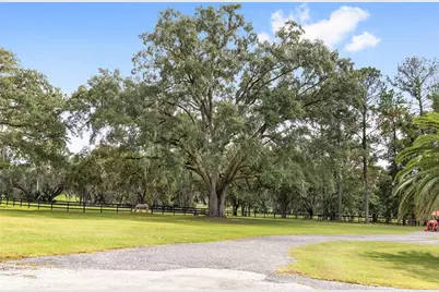 8778 NW 130th Street, Reddick, FL 32686 - Photo 86