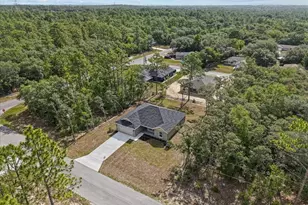 6447 N New Japan Terrace, Citrus Springs, FL 34434 - Photo 40