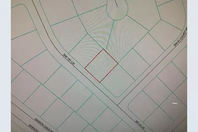 0 SW 151 Lane, Ocala, FL 34473 - Photo 4