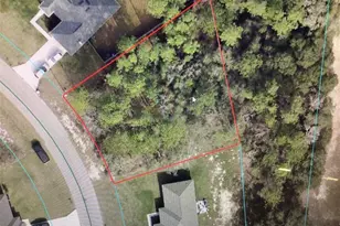 0 SW 143 Ln Rd, Ocala, FL 34473 - Photo 1