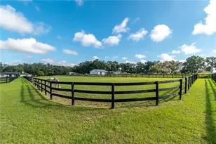 11851 SW 38th St, Ocala, FL 34481 - Photo 64