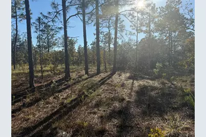 00 SE 73rd Lane, Morriston, FL 32668 - Photo 26