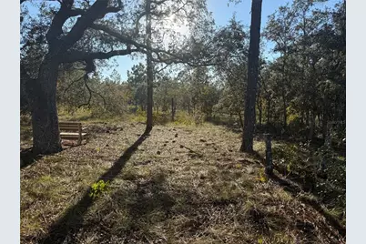 00 SE 73rd Lane, Morriston, FL 32668 - Photo 14