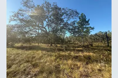 00 SE 73rd Lane, Morriston, FL 32668 - Photo 6