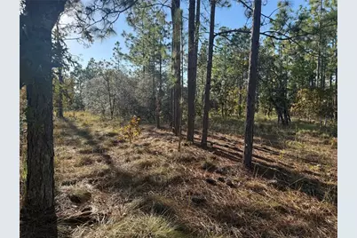 00 SE 73rd Lane, Morriston, FL 32668 - Photo 12