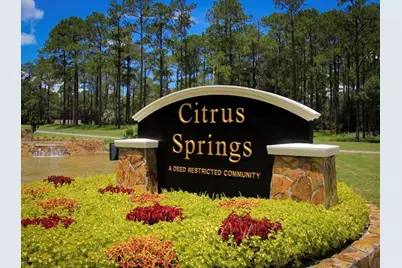 3268 W Higgins Place, Citrus Springs, FL 34434 - Photo 4