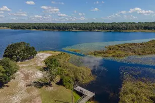 24797 NE 135th St, Salt Springs, FL 32134 - Photo 58