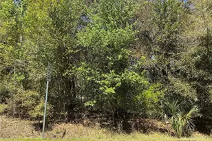 0 SE 139th Ln, Summerfield, FL 34491 - Photo 1