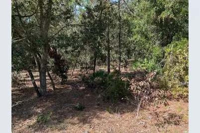 [Address not provided], Dunnellon, FL 34432 - Photo 8