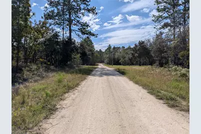 [Address not provided], Dunnellon, FL 34432 - Photo 6