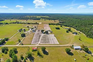 12150 SE 97th Pl, Dunnellon, FL 34431 - Photo 44