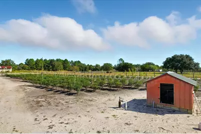 12150 SE 97 Place, Dunnellon, FL 34431 - Photo 40