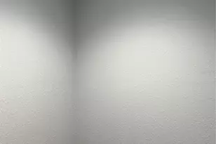 55 NW 45th Loop, Ocala, FL 34475 - Photo 12