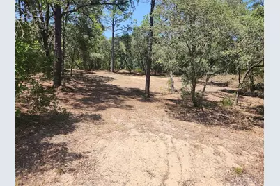 Lot 18 SW Pine Bluffs Road, Dunnellon, FL 34432 - Photo 1