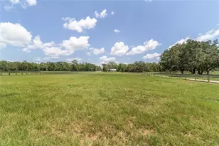 280 NE 150 Ave, Williston, FL 32696 - Photo 88