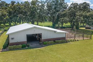 280 NE 150 Ave, Williston, FL 32696 - Photo 64