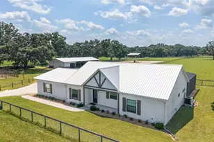 280 NE 150 Ave, Williston, FL 32696 - Photo 4