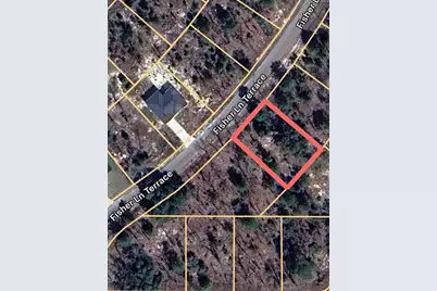 Fisher Lane Terrace #6, Ocklawaha, FL 32179 - Photo 1